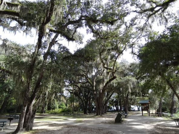 View of picnic area