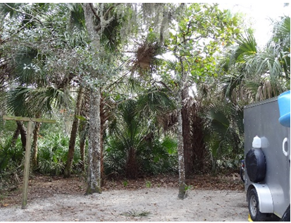 Campsite