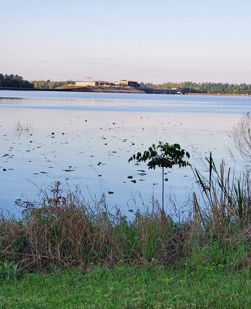 Recent camping trip to Eastbank Corps of Engineer campground in Georgia