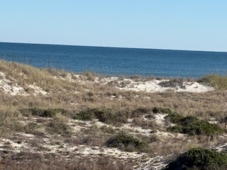 Beach near Amelia Island View 2