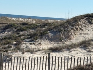 Beach near Amelia Island