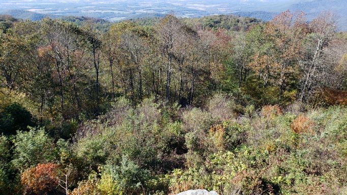 View from Skyline Drive