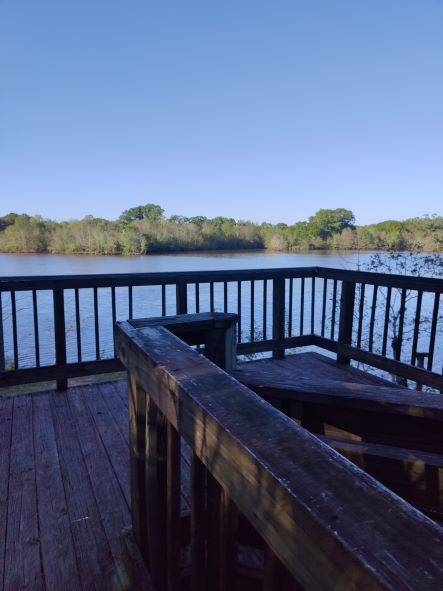 fishing dock fishing dock
