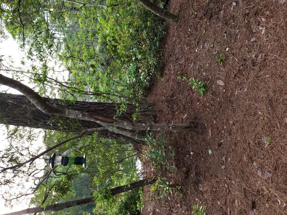 campsite view campsite view