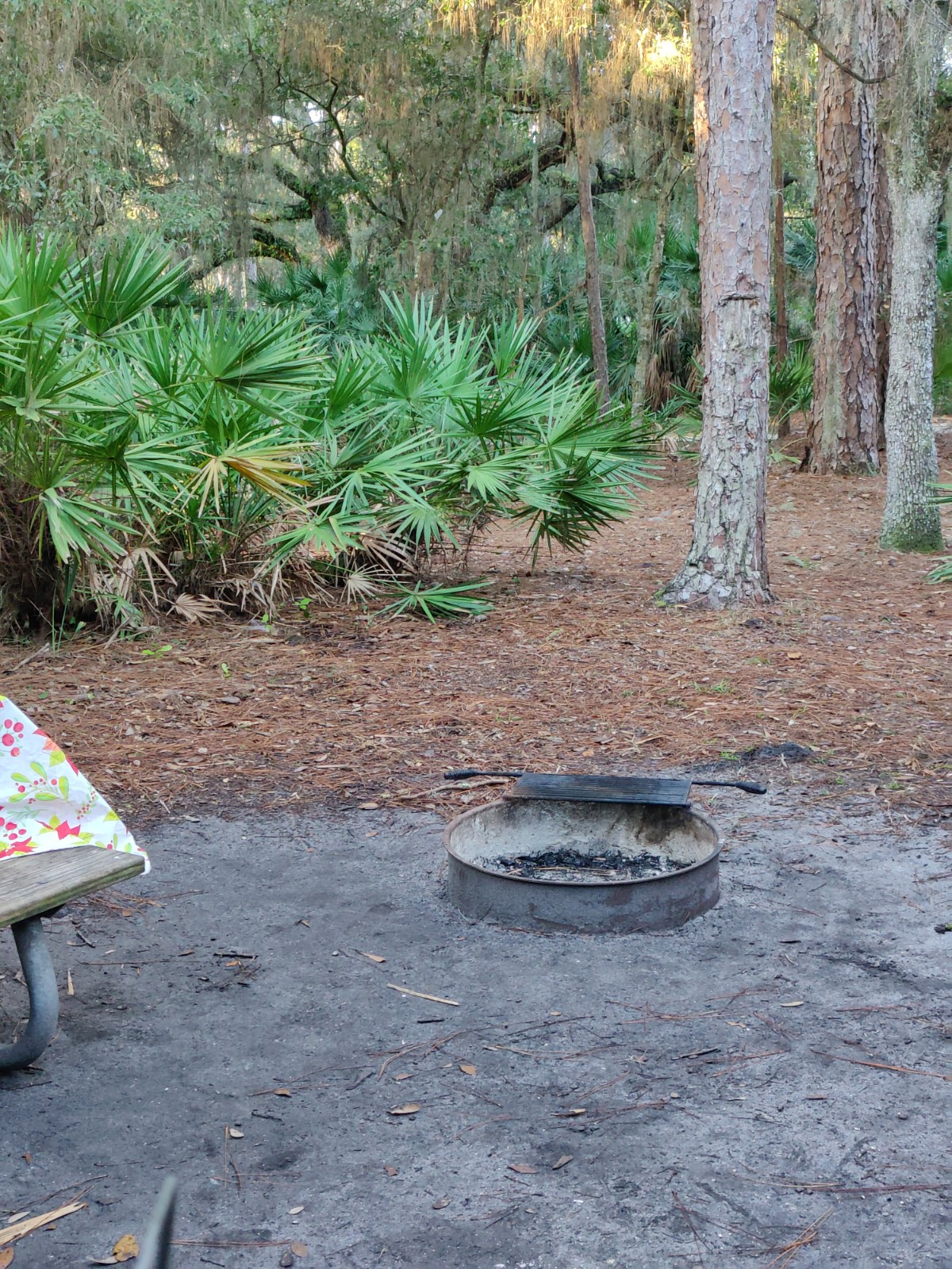 Camping Lake Kissimmee State Park