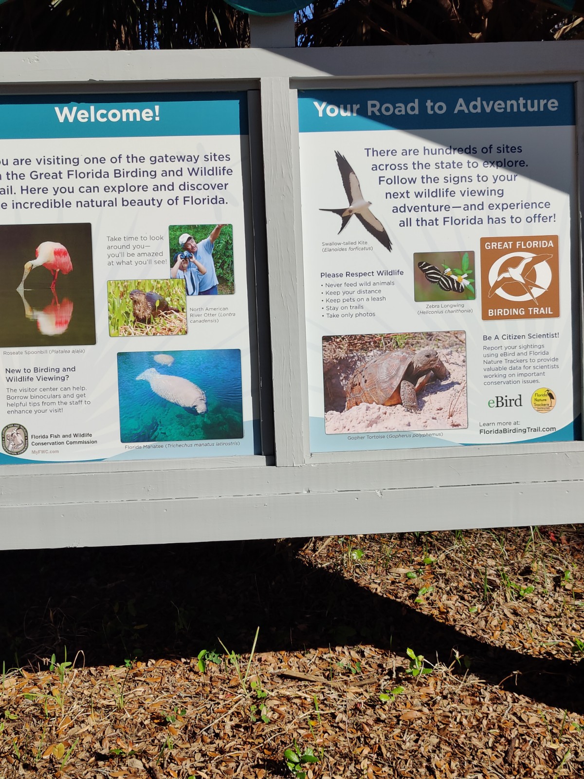 Sign about native wildlife Sign about wildlife