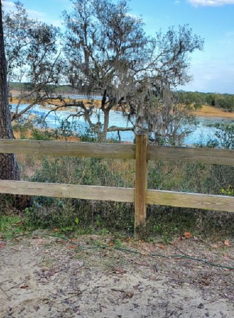 Back of our site #69. Nice water view. campsite at Mike Roess