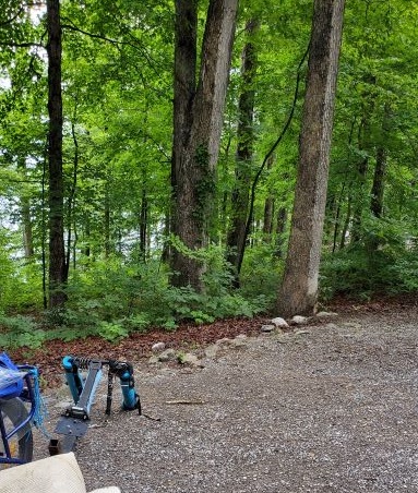 Site Site