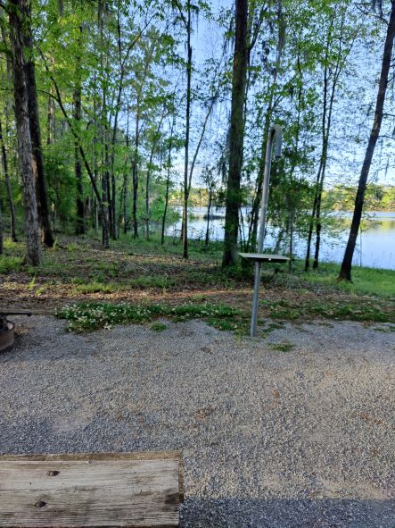 campsite Gunter Hill campsite Gunter Hill