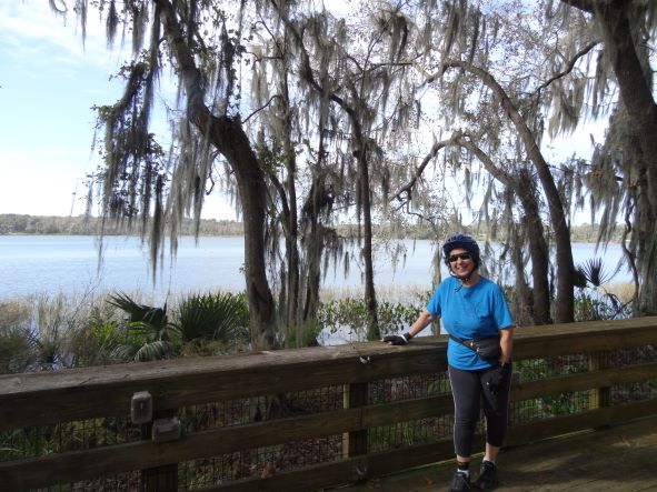 View from one of the trails