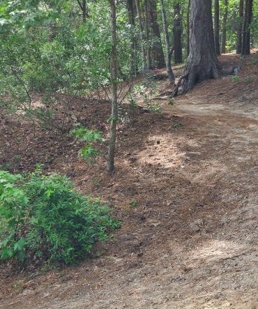 Camping in one of our favorite Maryland parks, Pocomoke State Park.
