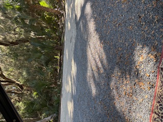 View of Site 7 at campground