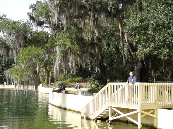 Salt Springs Springs