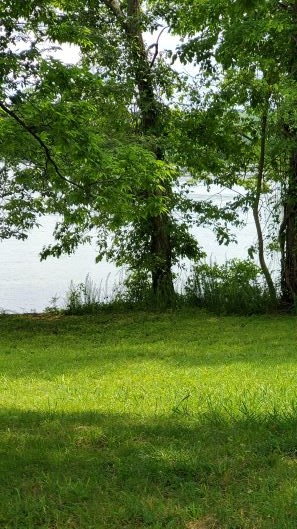 Our camping adventures at Land Between the Lakes on the Tennessee side!